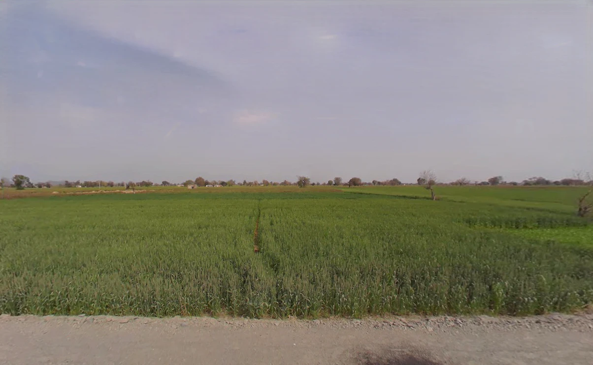 FRRX+G3Q, Bedha, Rajasthan 301021, India