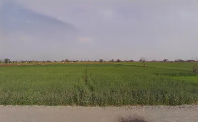 FRRX+G3Q, Bedha, Rajasthan 301021, India preview 2