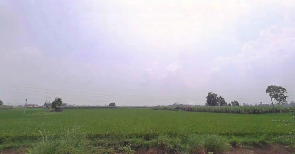 Shahzadpur, Haryana 134202, India preview 2