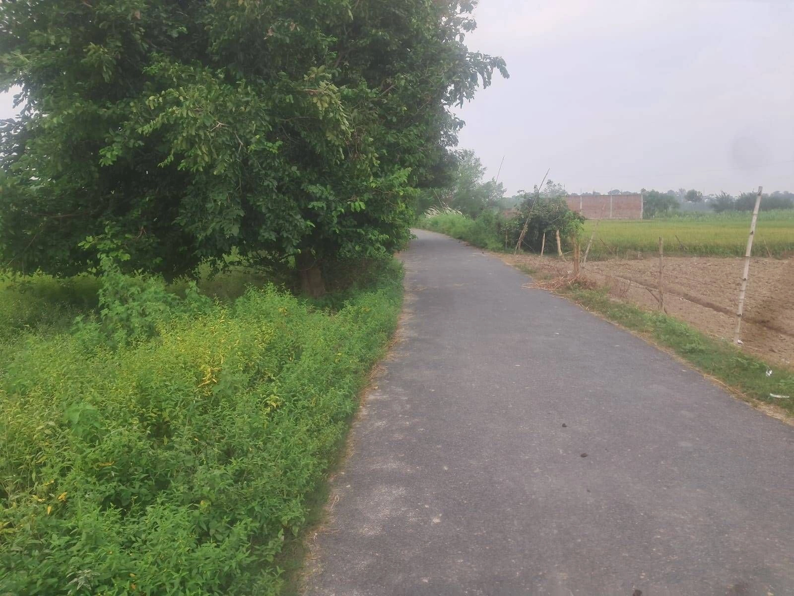 V6F7+F7J, Gonda, Ektanga, Uttar Pradesh 271319, India - Photo 3