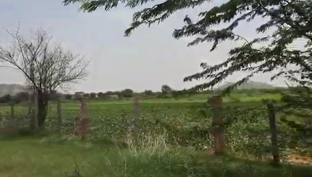 VCR5+2J Chamkaur Sahib, Rupnagar, Punjab, India