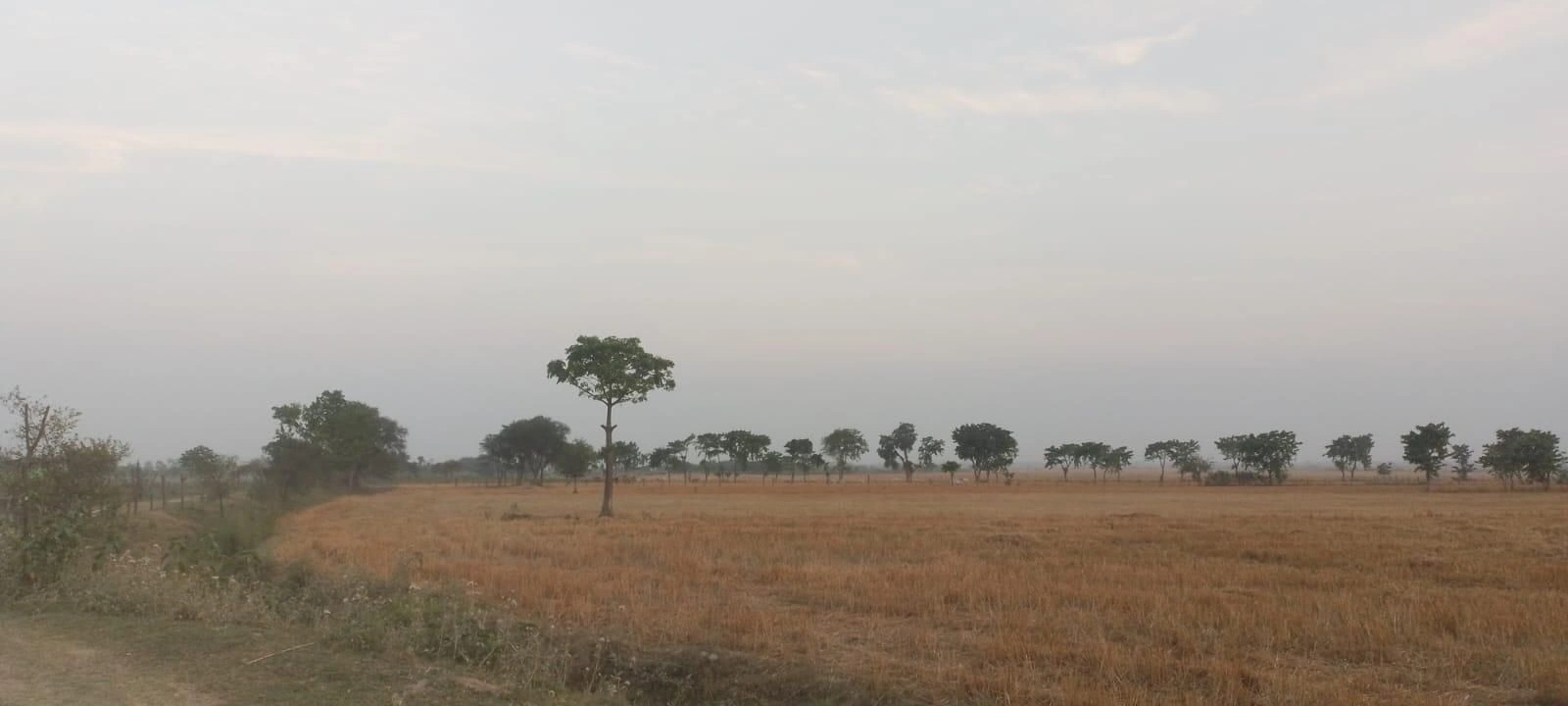 M5X8+FW Abanpur Saroha, Uttar Pradesh, India preview 2