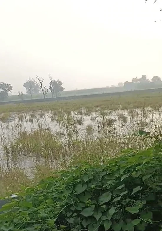 2794+FF, Palwal, Hathin, Kondal, Haryana 121103, India