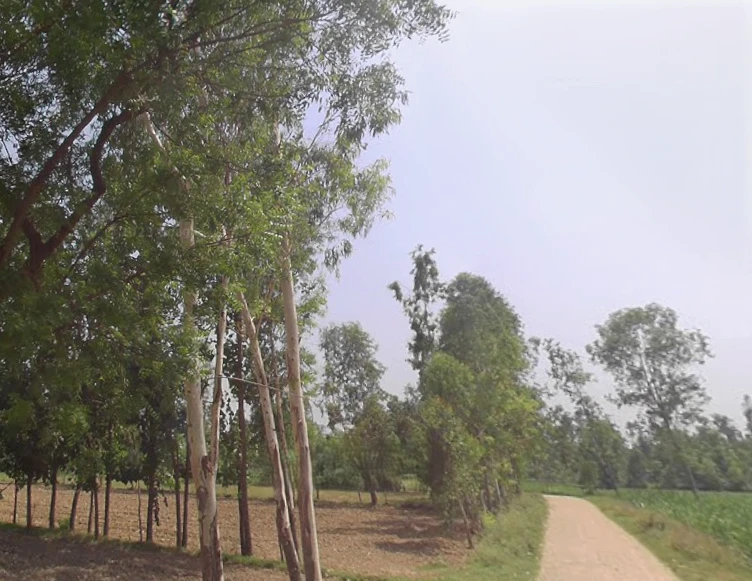 Akbarpur, Uttar Pradesh 244411, India