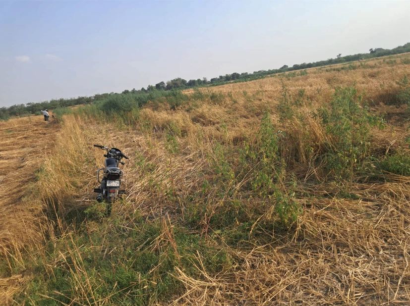 Barnagar, Madhya Pradesh 456771, India