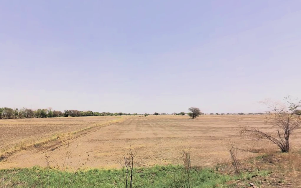 Farukh Nagar, Haryana 122506, India