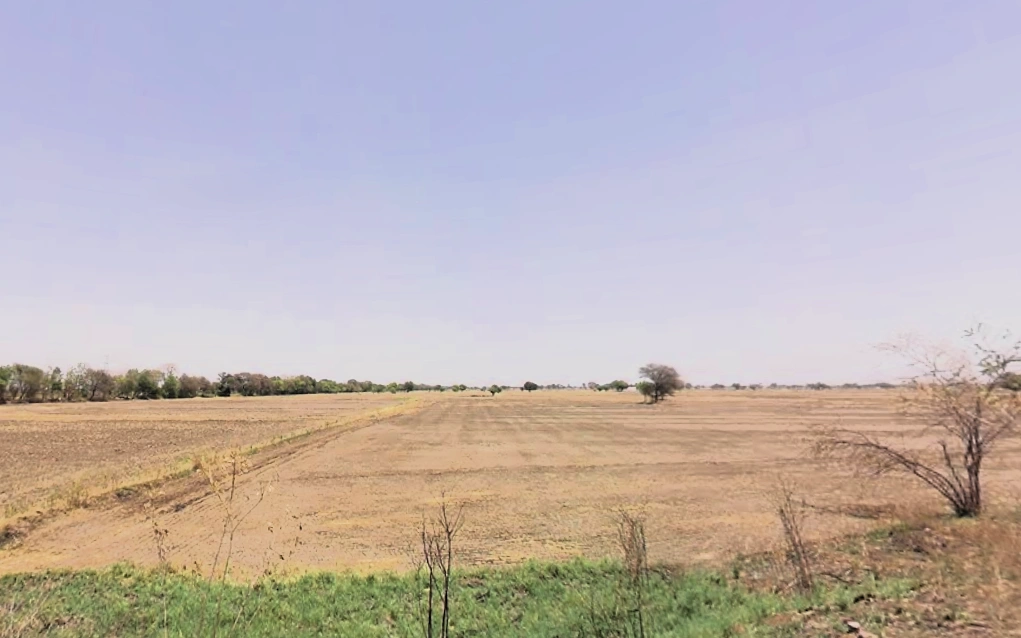 Farukh Nagar, Haryana 122506, India