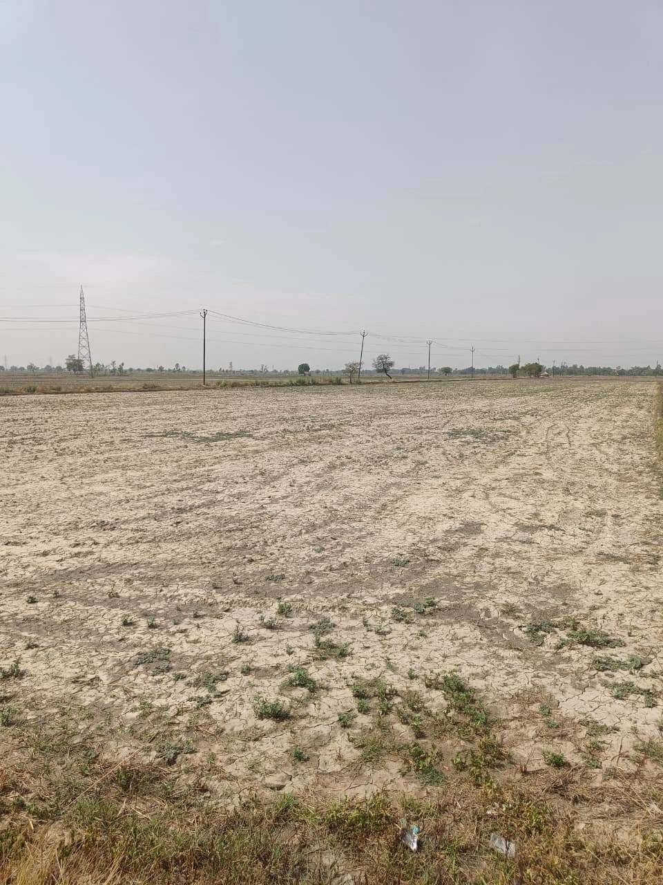 Aou, Rajasthan, India