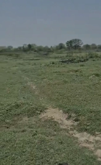 Mavli, Rajasthan