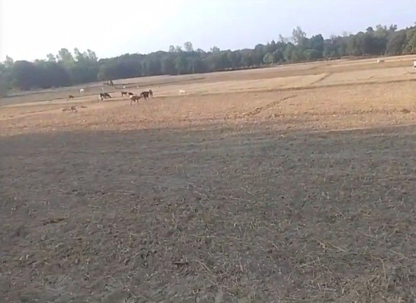 Rahimabad, Uttar Pradesh, India