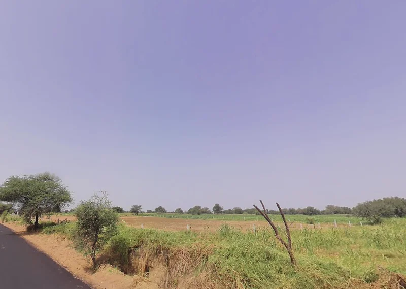 Sungarpur, Haryana, India preview 2