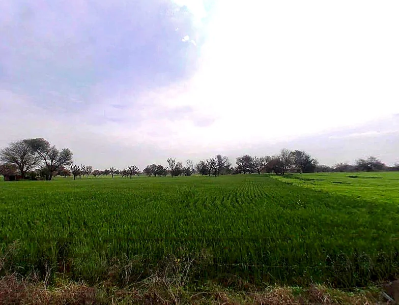 Rampura - Raithal Rd, Raghunathpura, Rajasthan 303701, India preview 2