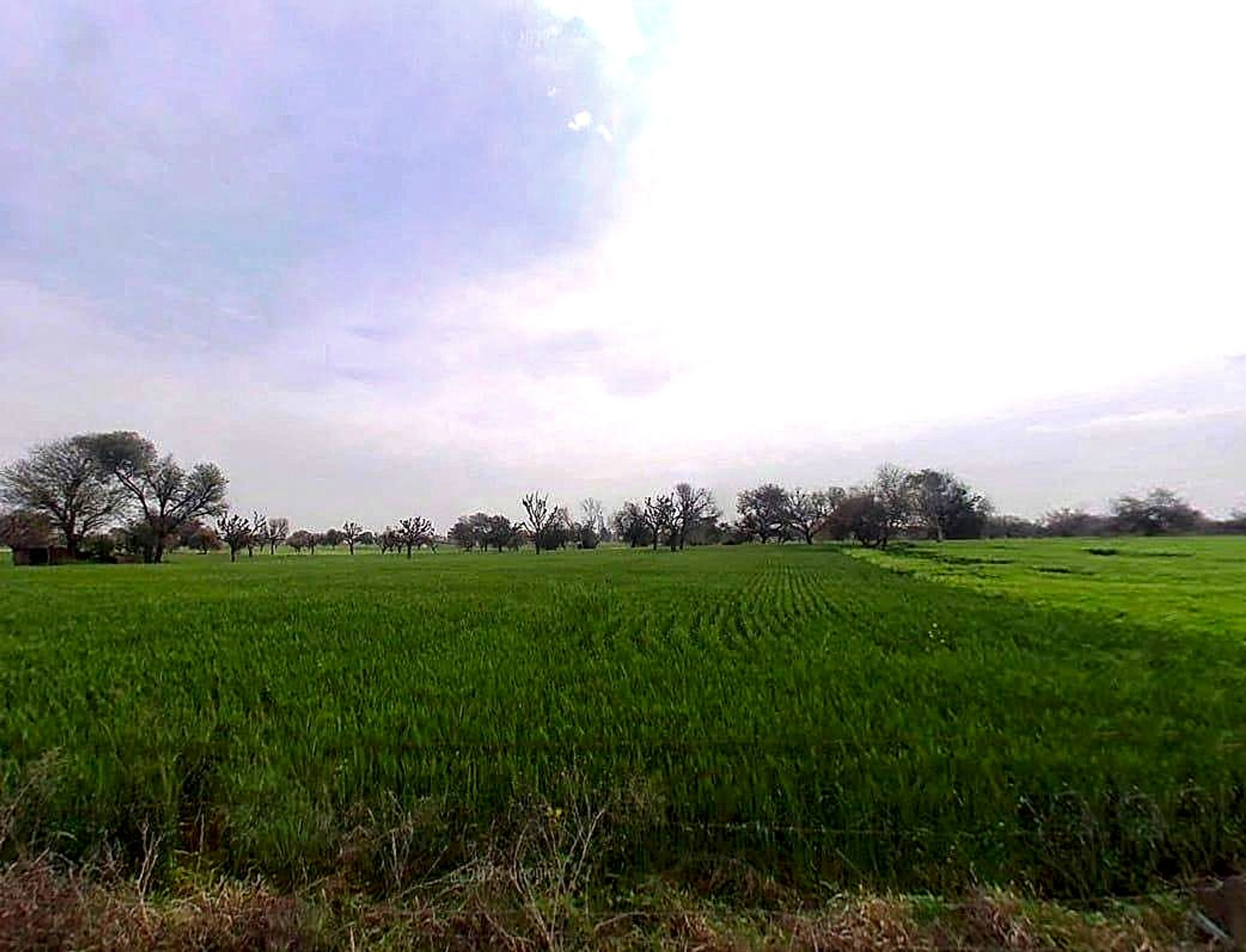 Rampura - Raithal Rd, Raghunathpura, Rajasthan 303701, India