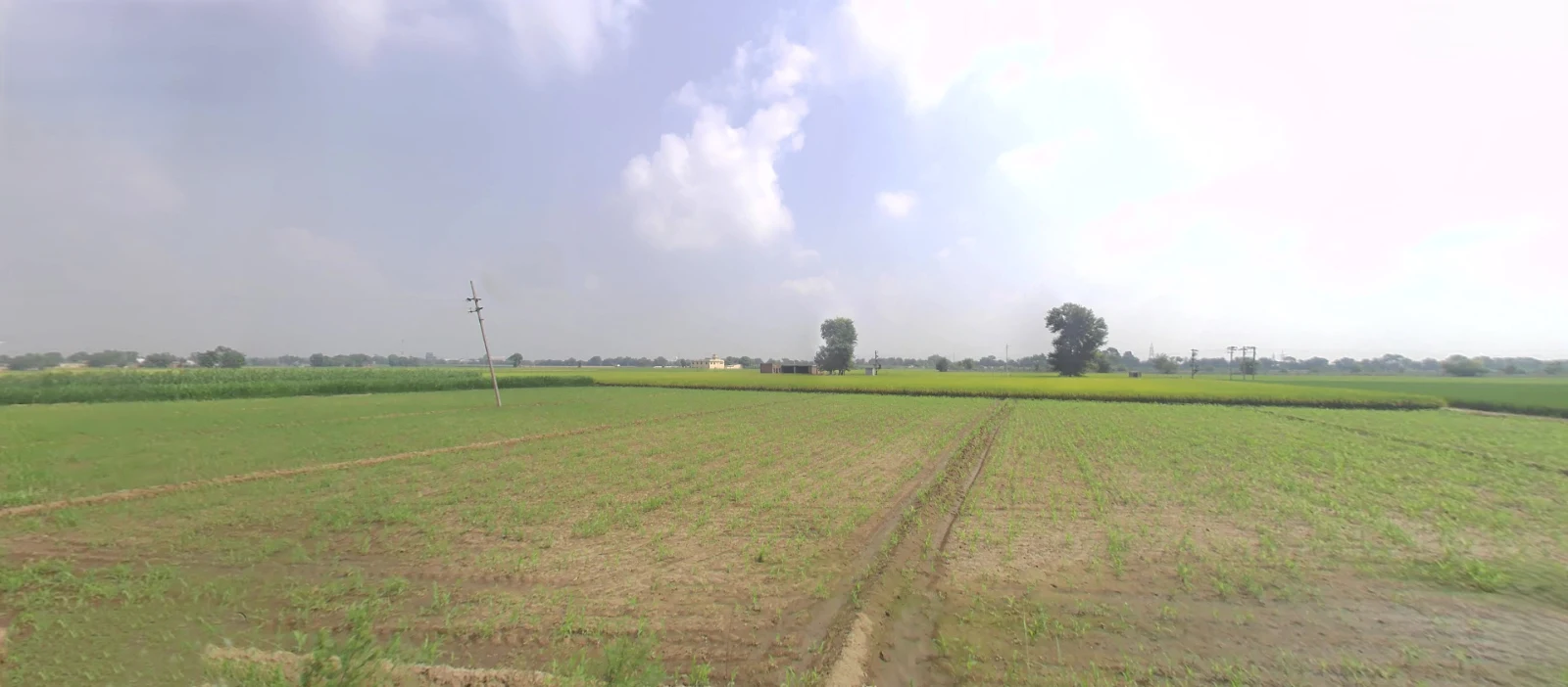 XH83+728, Mangal Nagar, Jwala Nagar, Saharanpur, Uttar Pradesh 247001, India preview 2