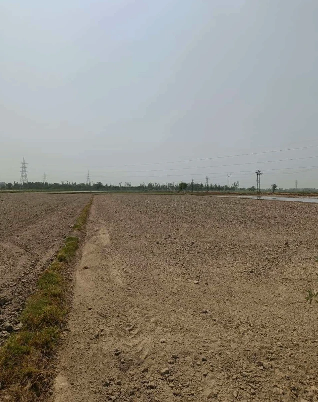 Panhera Khurd, Faridabad, Haryana 121004, India