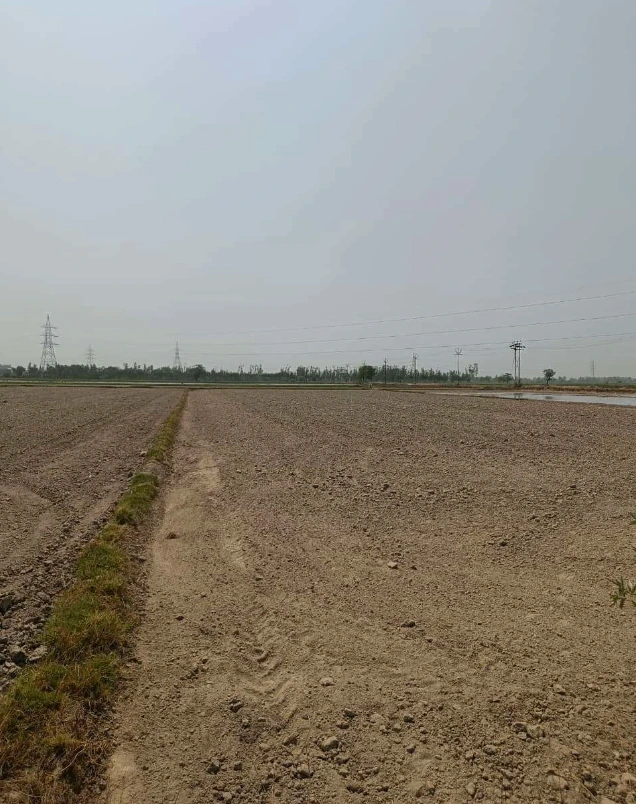 Panhera Khurd, Faridabad, Haryana 121004, India