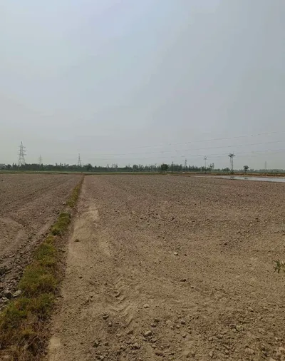 Panhera Khurd, Faridabad, Haryana 121004, India preview 3
