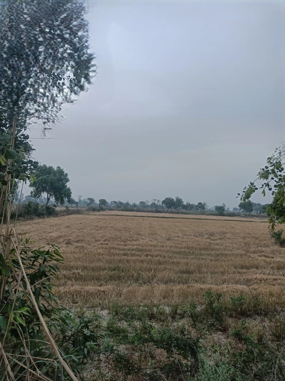 Aloda, Rajasthan 332602, India