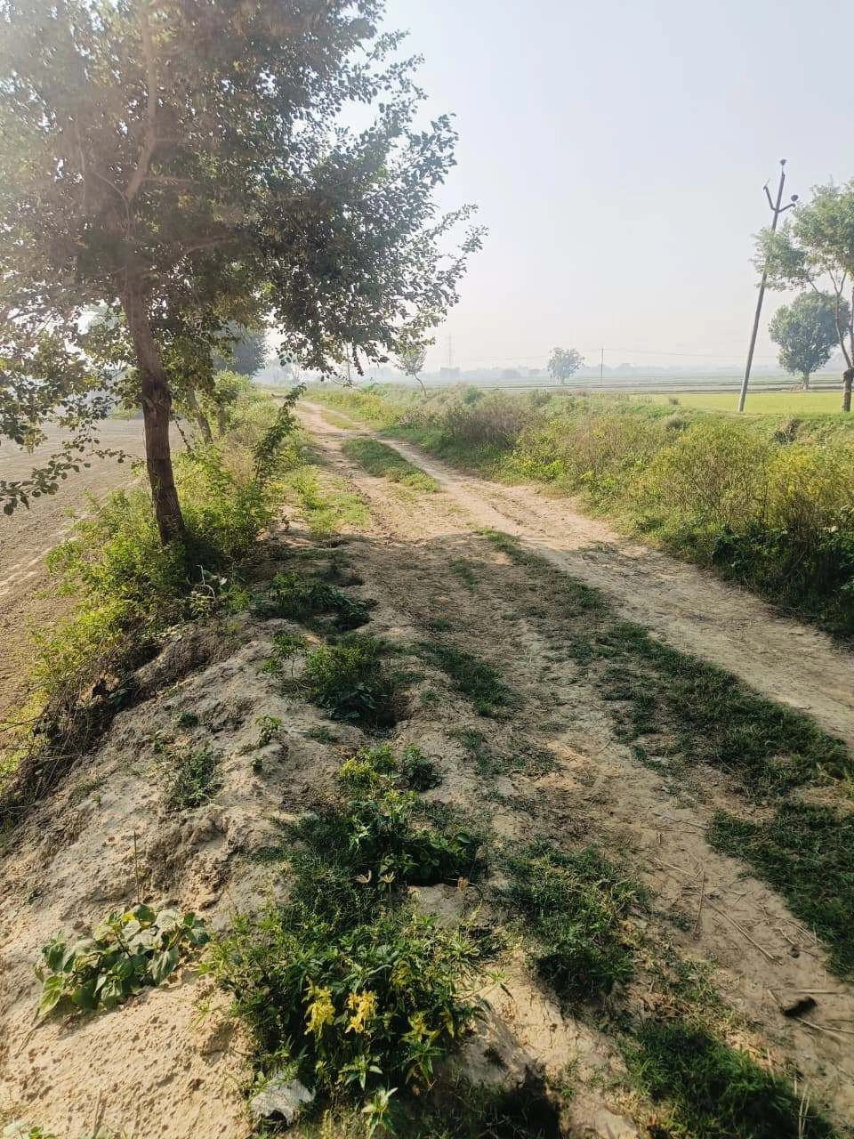 Umari, Mathura, Uttar Pradesh 281123, India