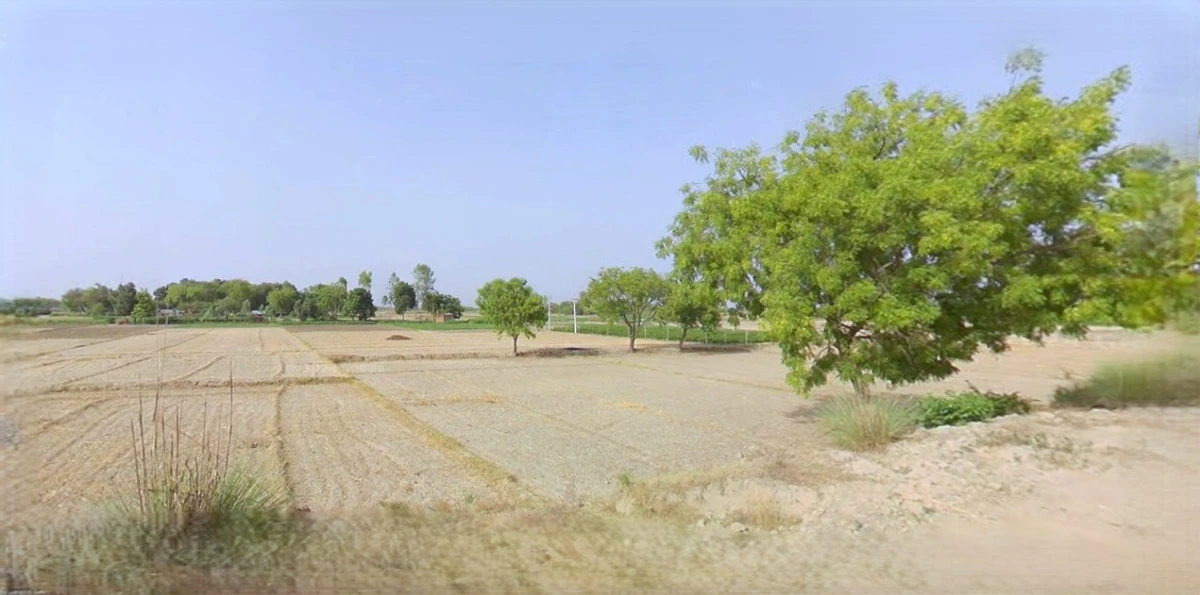 Barnagar, Madhya Pradesh 456771, India