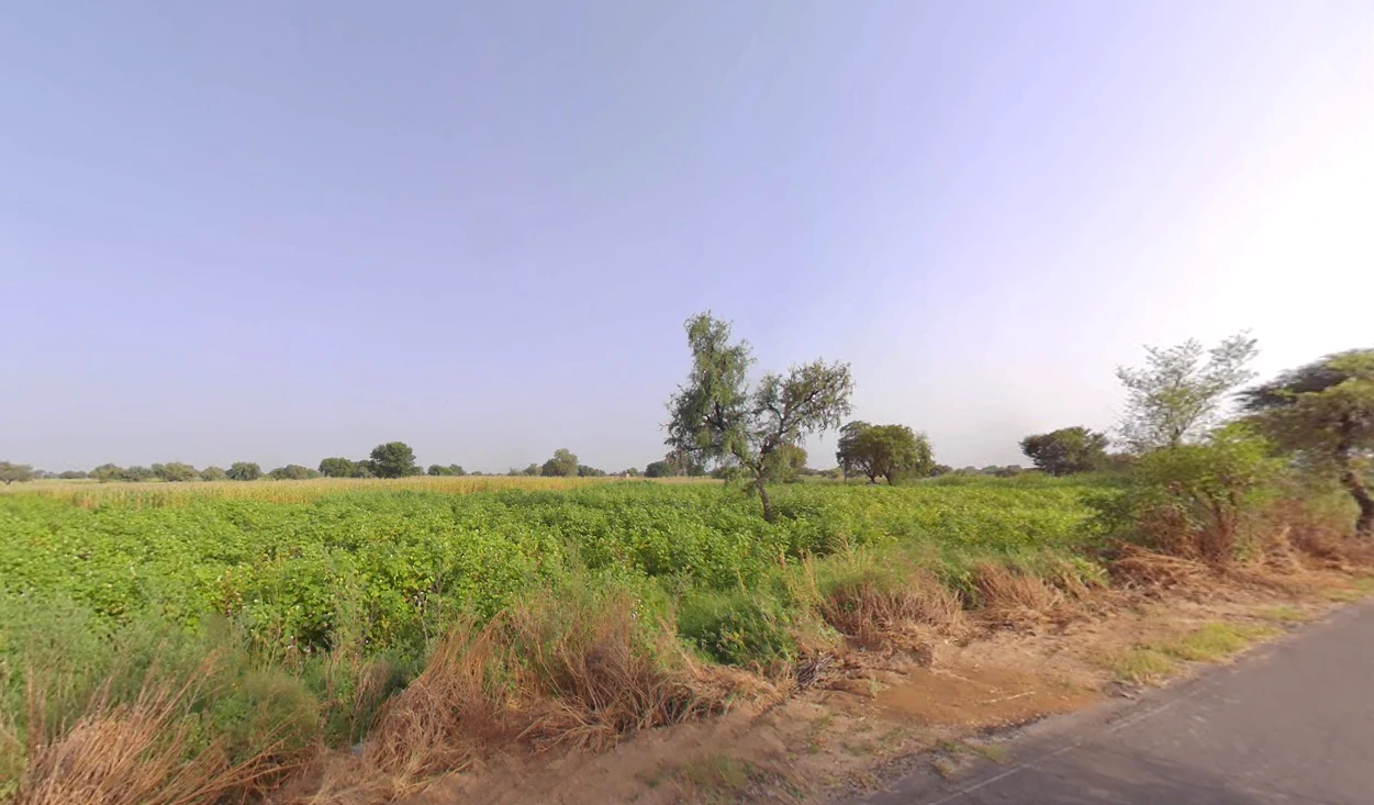 Jant, Haryana, India