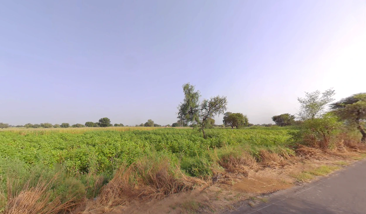 Jant, Haryana, India