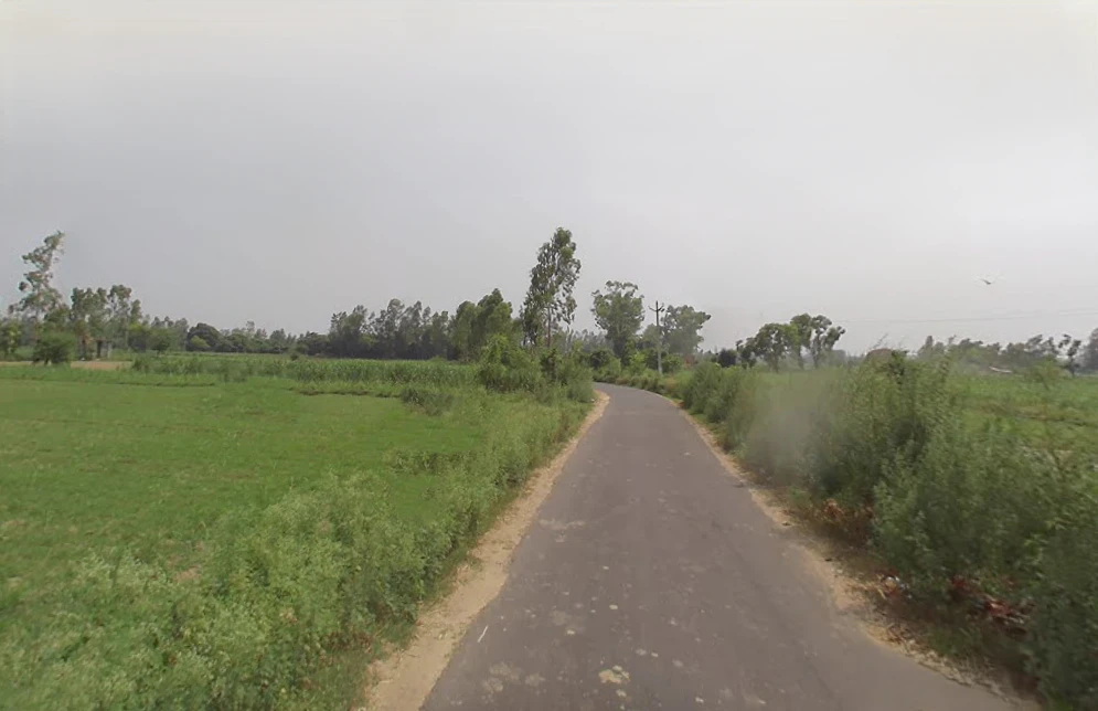 Bharolli, Uttar Pradesh 250104, India