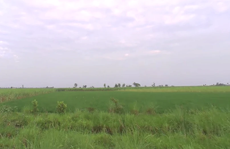 Behsuma, Uttar Pradesh 250401, India