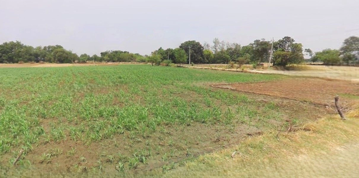 Jewar, Uttar Pradesh 203135, India preview 2