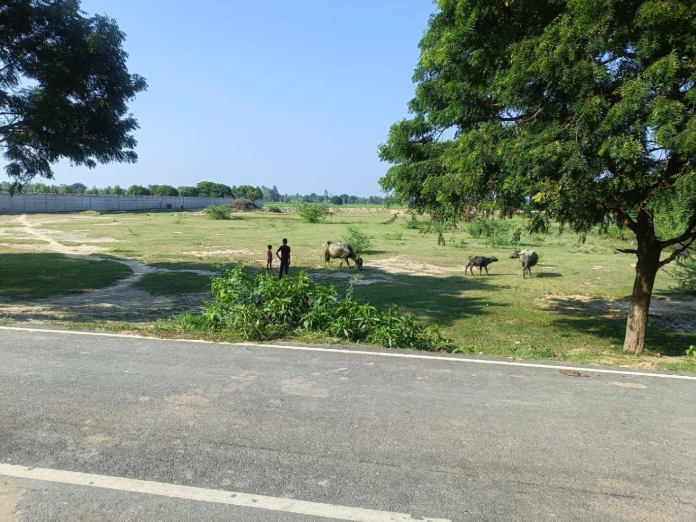 Hilauli, Unnao, Uttar Pradesh 209821, India