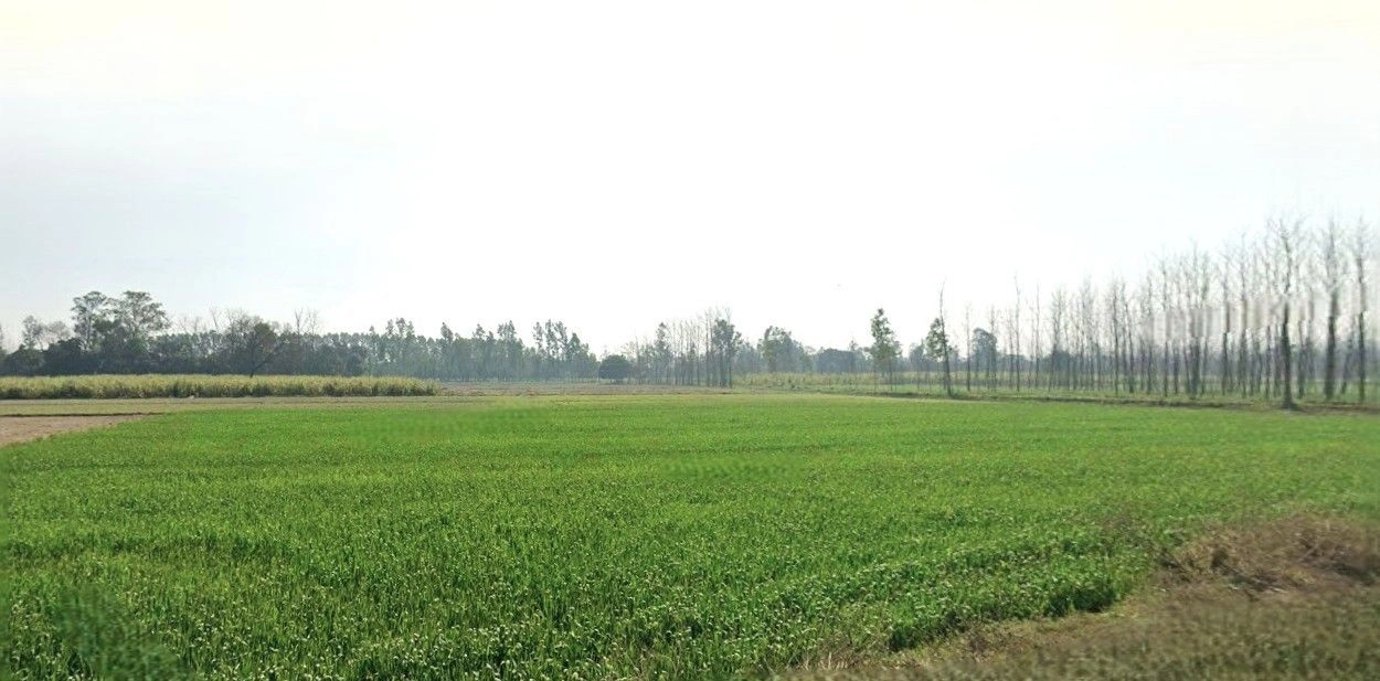 Thakurdwara, Uttar Pradesh 244601, India preview 2