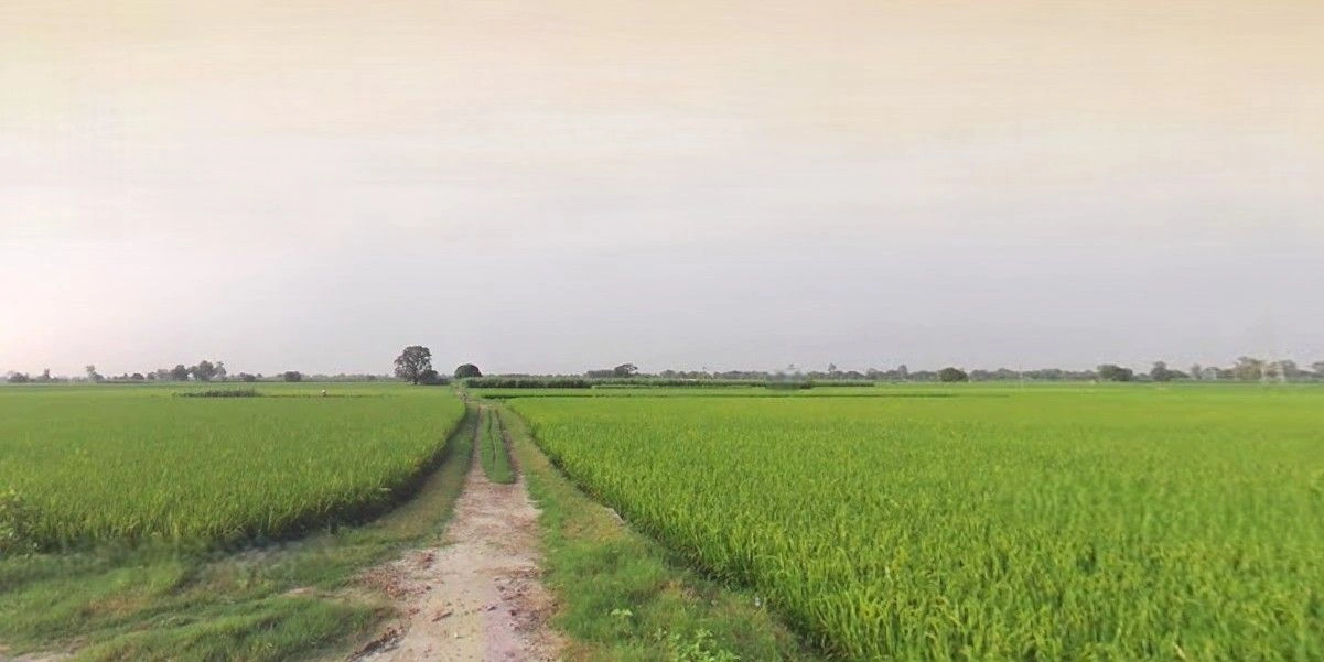 Hasanpur, Uttar Pradesh 244241, India
