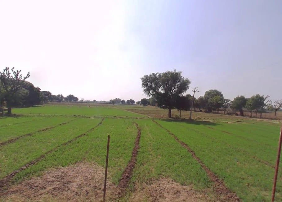 Dausa, Rajasthan 303303, India