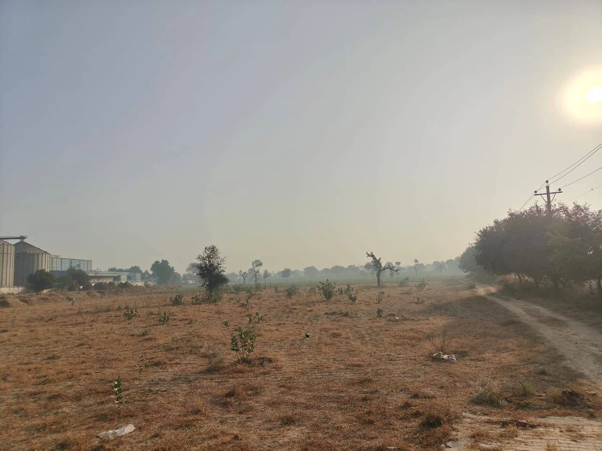 Barwa, Haryana 127045, India