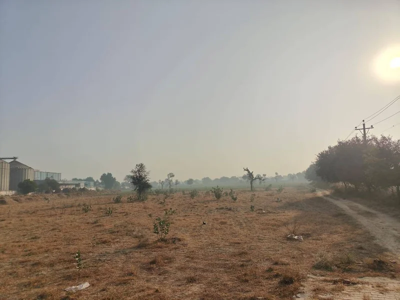 Barwa, Haryana 127045, India preview 2