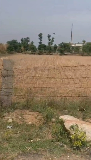 Gutawali, Uttar Pradesh 244504, India preview 2