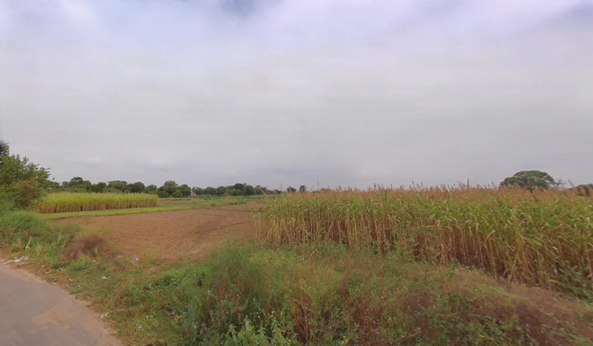 Kheri, Haryana 123027, India preview 3