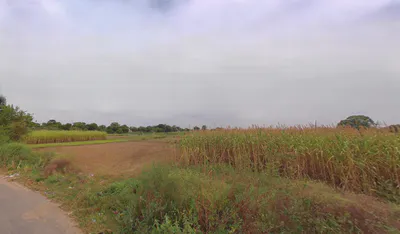 Kheri, Haryana 123027, India preview 3