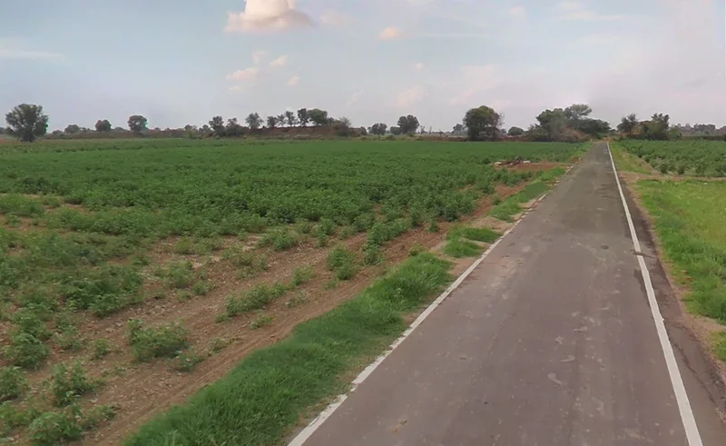 Dhol Khera, Rajasthan 321613, India preview 2