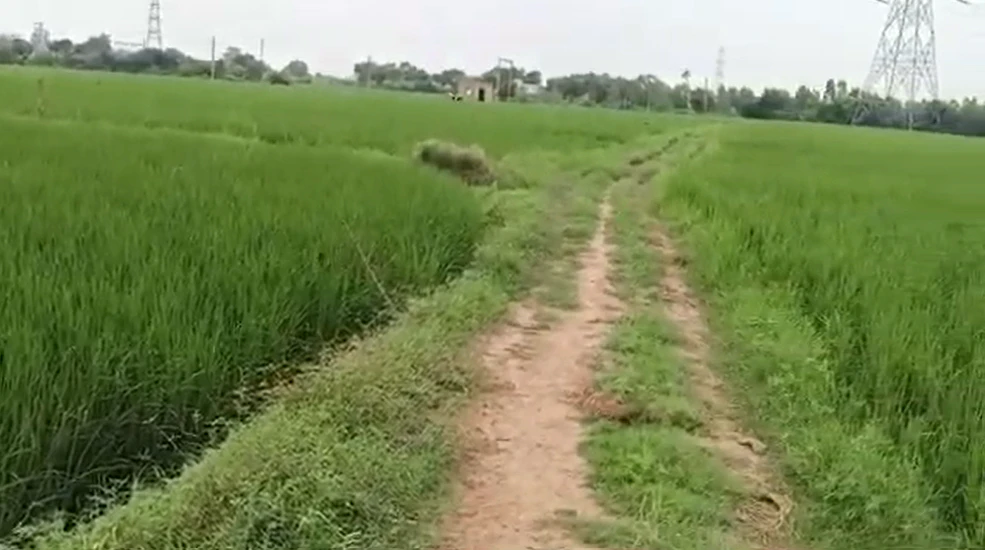 WR2J+95 Ghodasar, Kheda, Gujarat, India