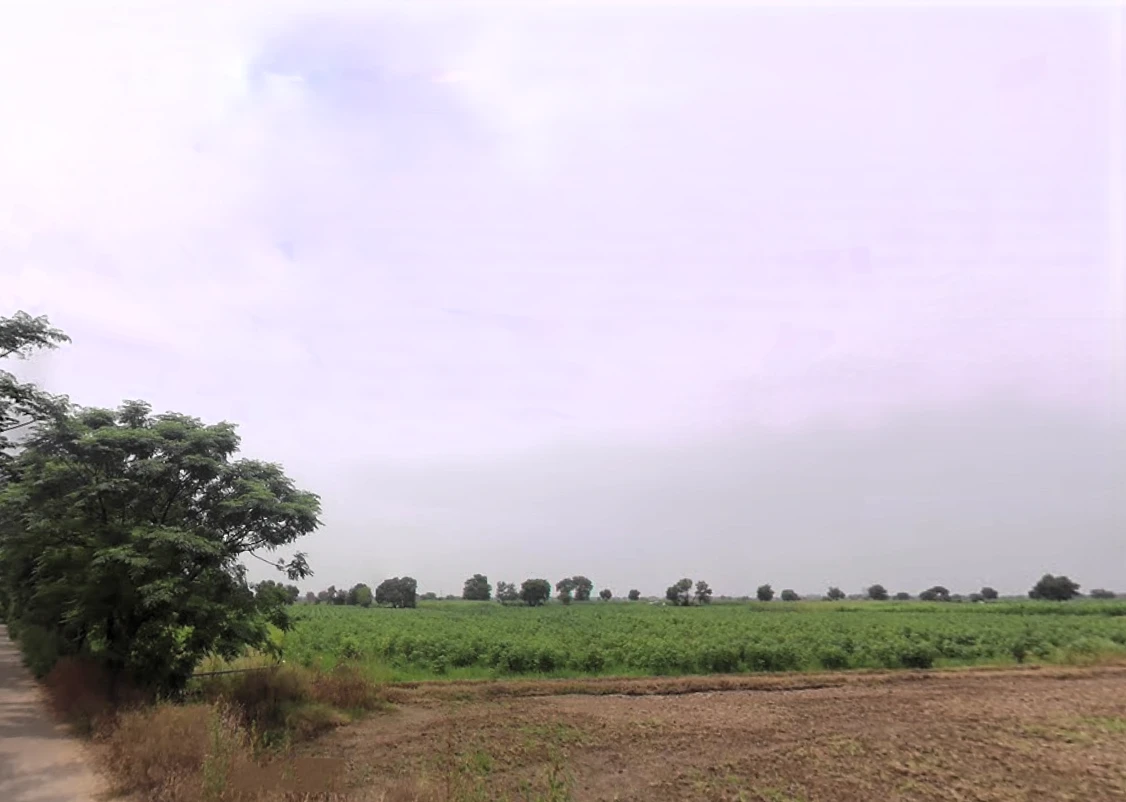 Meham, Haryana 124112, India