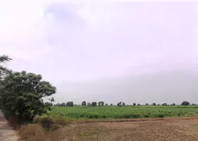Meham, Haryana 124112, India preview 2