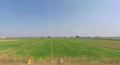 Untadi Deep Faliya Rd, Untdi, Gujarat, India preview 3