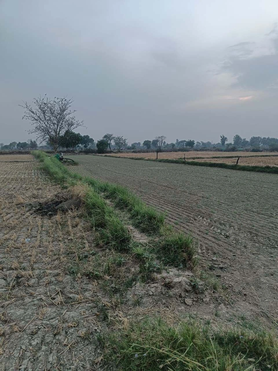Saidpur, Nuh, Haryana 122105, India