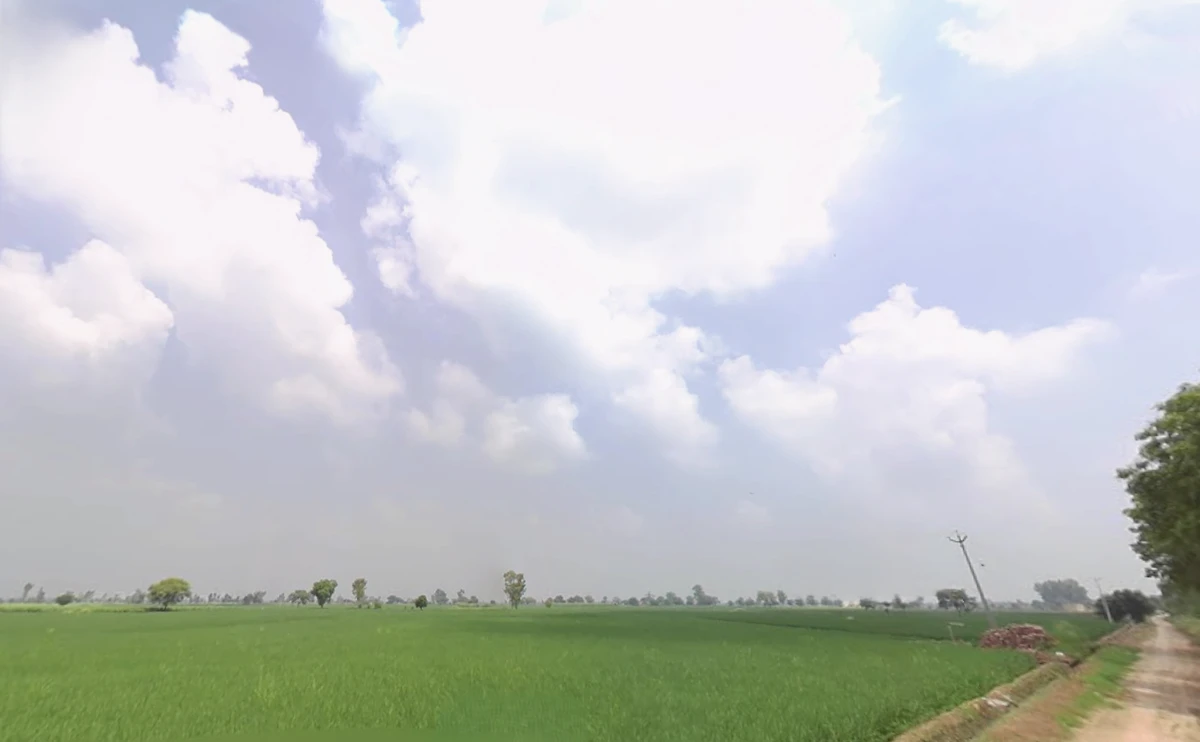 Kalayat, Haryana 136117, India
