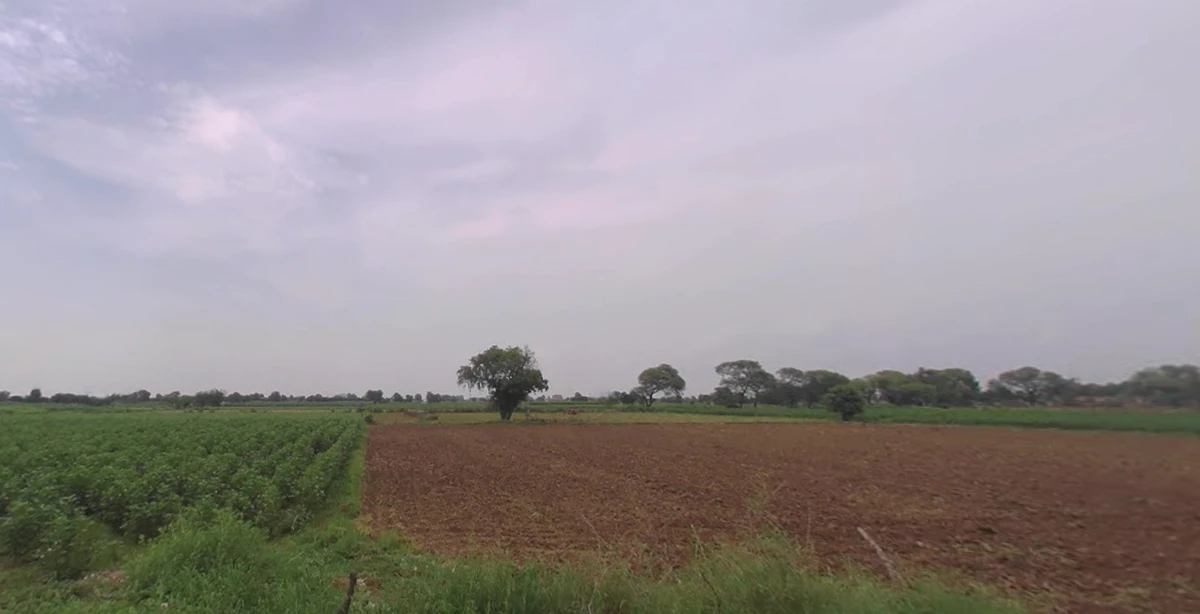 Murgathali, West Bengal 731130, India