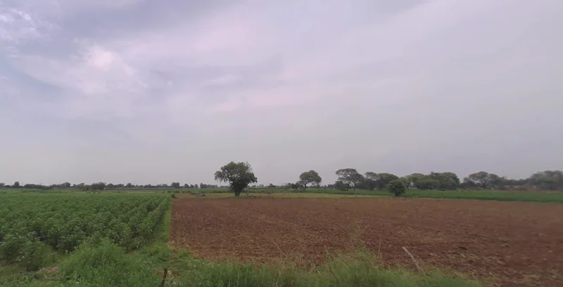 Murgathali, West Bengal 731130, India preview 2