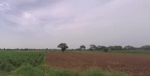 Murgathali, West Bengal 731130, India preview 2