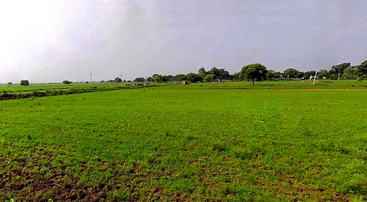 Barsana, Uttar Pradesh 281405, India