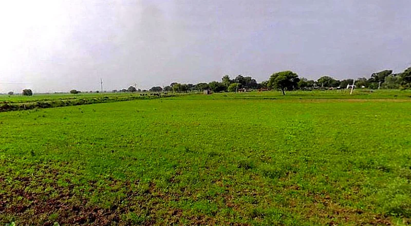 Barsana, Uttar Pradesh 281405, India preview 3